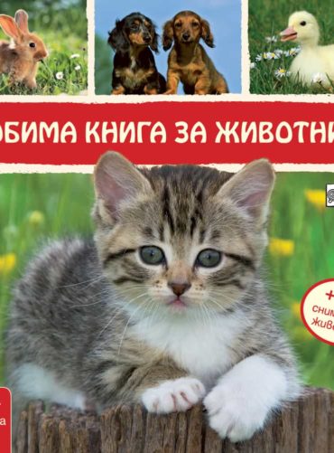 Любима книга за животните - Коте