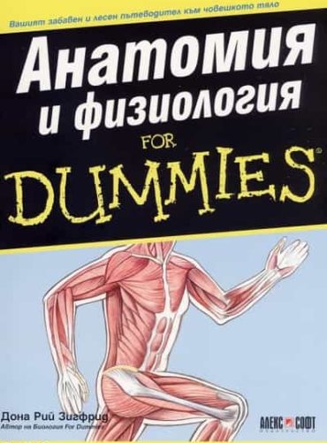 Алгоритми for Dummies