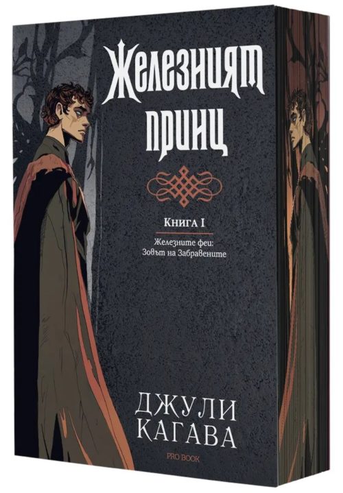 Железният принц (Железните феи: Зовът на Забравените, книга 1)
