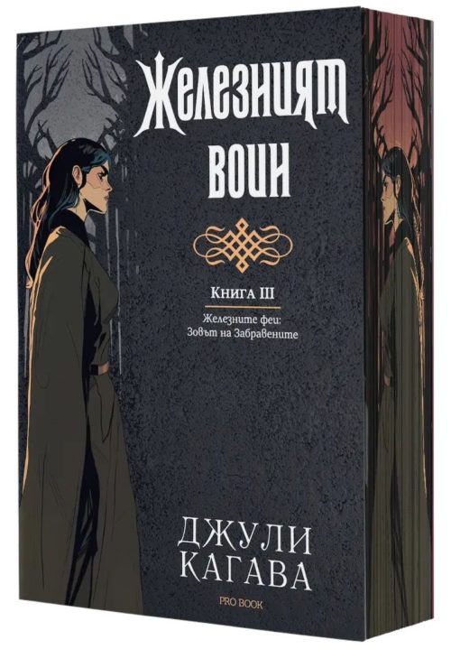 Железният воин (Железните феи: Зовът на Забравените, книга 3)